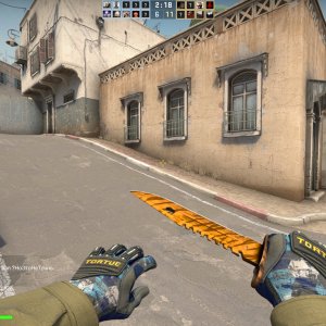 M9 Tiger Tooth + Specialist Gloves Mogul