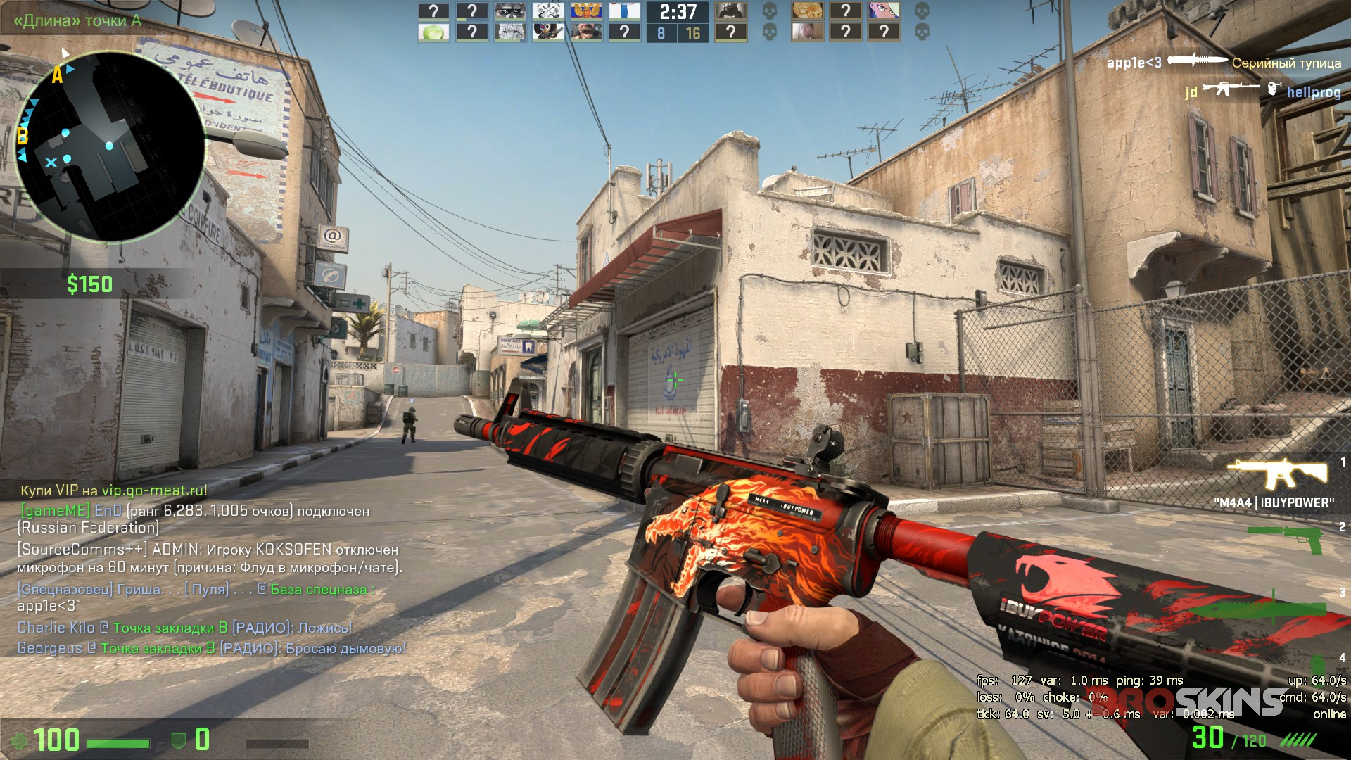 M4A4 Howl iBuypower Holo + Hand Wraps Slaughter