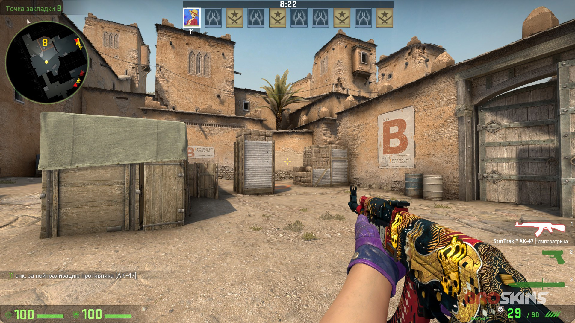 StatTrak™ AK-47 The Empress double Crown (Foil) and Gloves Imperial Plaid